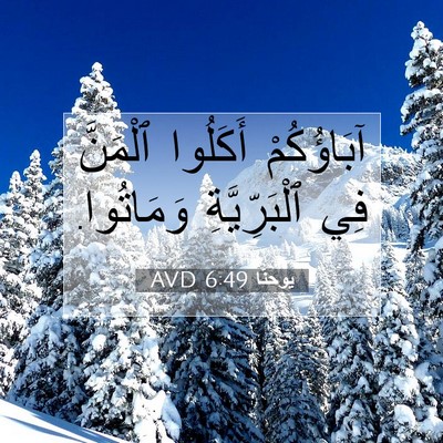 Picture 07 - يوحنَّا 6:49 AVD - آبَاؤُكُمْ أَكَلُوا - Bible Verse Picture