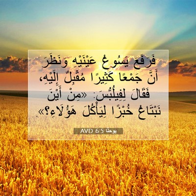 Picture 07 - يوحنَّا 6:5 AVD - فَرَفَعَ يَسُوعُ - Bible Verse Picture