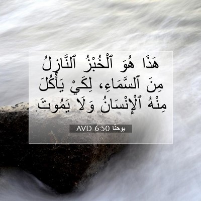 Picture 07 - يوحنَّا 6:50 AVD - هَذَا هُوَ ٱلْخُبْزُ - Bible Verse Picture
