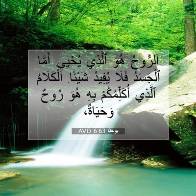 Picture 07 - يوحنَّا 6:63 AVD - اَلرُّوحُ هُوَ ٱلَّذِي - Bible Verse Picture