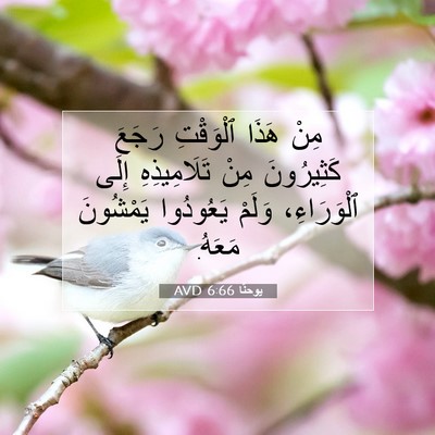 Picture 07 - يوحنَّا 6:66 AVD - مِنْ هَذَا ٱلْوَقْتِ - Bible Verse Picture