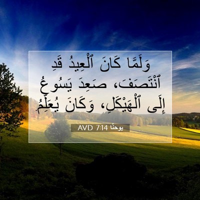 Picture 07 - يوحنَّا 7:14 AVD - وَلَمَّا كَانَ ٱلْعِيدُ - Bible Verse Picture