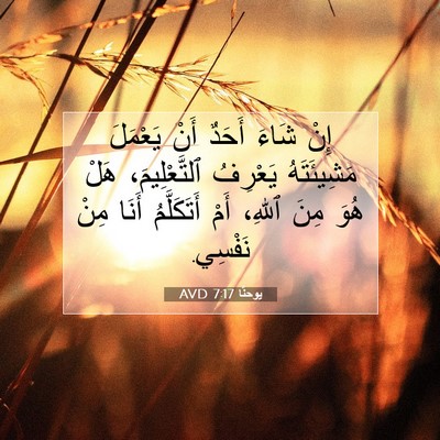 Picture 07 - يوحنَّا 7:17 AVD - إِنْ شَاءَ أَحَدٌ أَنْ - Bible Verse Picture