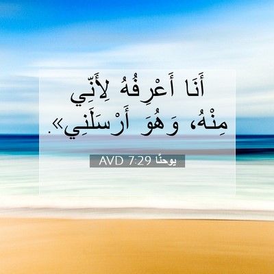 Picture 07 - يوحنَّا 7:29 AVD - أَنَا أَعْرِفُهُ لِأَنِّي - Bible Verse Picture