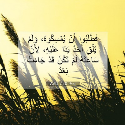 Picture 07 - يوحنَّا 7:30 AVD - فَطَلَبُوا أَنْ - Bible Verse Picture