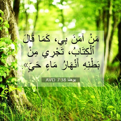 Picture 07 - يوحنَّا 7:38 AVD - مَنْ آمَنَ بِي، كَمَا - Bible Verse Picture