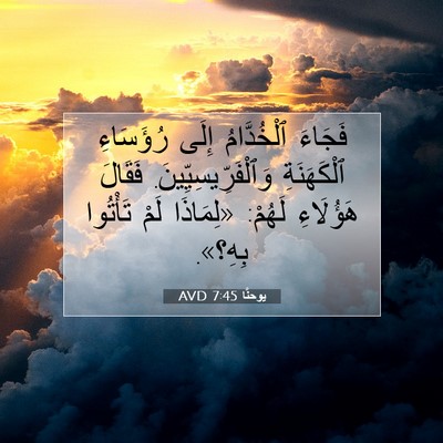 Picture 07 - يوحنَّا 7:45 AVD - فَجَاءَ ٱلْخُدَّامُ إِلَى - Bible Verse Picture