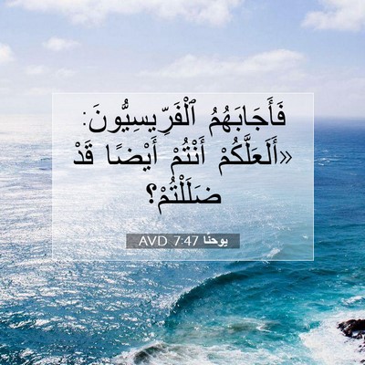 Picture 07 - يوحنَّا 7:47 AVD - فَأَجَابَهُمُ - Bible Verse Picture