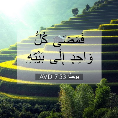 Picture 07 - يوحنَّا 7:53 AVD - فَمَضَى كُلُّ وَاحِدٍ - Bible Verse Picture