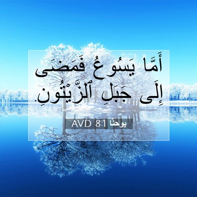 Picture 07 - يوحنَّا 8:1 AVD - أَمَّا يَسُوعُ فَمَضَى - Bible Verse Picture