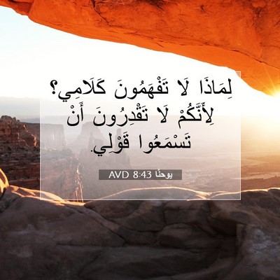 Picture 07 - يوحنَّا 8:43 AVD - لِمَاذَا لَا تَفْهَمُونَ - Bible Verse Picture