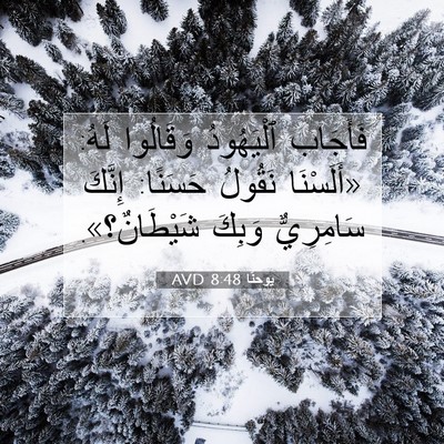 Picture 07 - يوحنَّا 8:48 AVD - فَأَجَاب ٱلْيَهُودُ - Bible Verse Picture