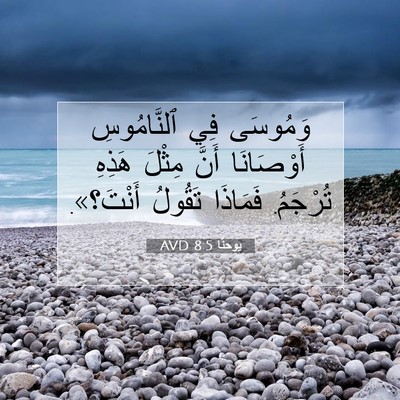 Picture 07 - يوحنَّا 8:5 AVD - وَمُوسَى فِي ٱلنَّامُوسِ - Bible Verse Picture