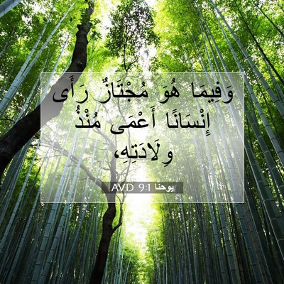 Picture 07 - يوحنَّا 9:1 AVD - وَفِيمَا هُوَ مُجْتَازٌ - Bible Verse Picture