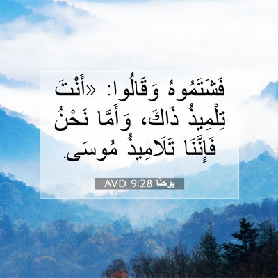 Picture 07 - يوحنَّا 9:28 AVD - فَشَتَمُوهُ وَقَالُوا: - Bible Verse Picture
