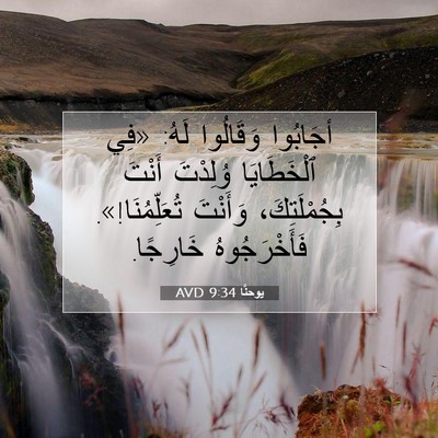 Picture 07 - يوحنَّا 9:34 AVD - أجَابُوا وَقَالُوا لَهُ: - Bible Verse Picture