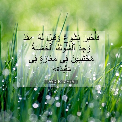 Picture 07 - يَشُوع 10:17 AVD - فَأُخْبِرَ يَشُوعُ - Bible Verse Picture