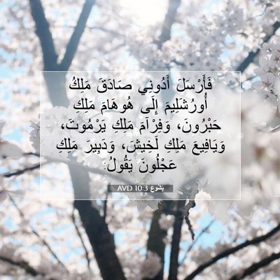 Picture 07 - يَشُوع 10:3 AVD - فَأَرْسَلَ أَدُونِي - Bible Verse Picture