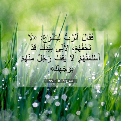 Picture 07 - يَشُوع 10:8 AVD - فَقَالَ ٱلرَّبُّ - Bible Verse Picture