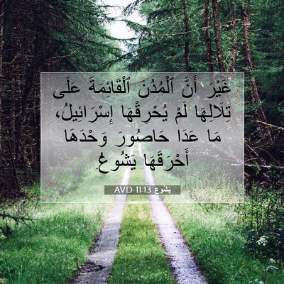 Picture 07 - يَشُوع 11:13 AVD - غَيْرَ أَنَّ ٱلْمُدُنَ - Bible Verse Picture