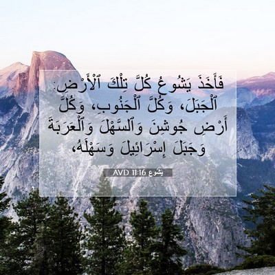Picture 07 - يَشُوع 11:16 AVD - فَأَخَذَ يَشُوعُ كُلَّ - Bible Verse Picture