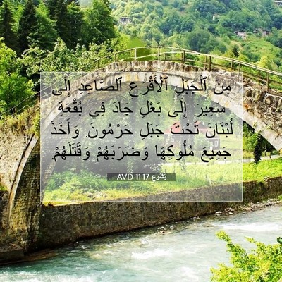 Picture 07 - يَشُوع 11:17 AVD - مِنَ ٱلْجَبَلِ - Bible Verse Picture