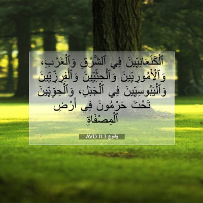 Picture 07 - يَشُوع 11:3 AVD - ٱلْكَنْعَانِيِّينَ فِي - Bible Verse Picture
