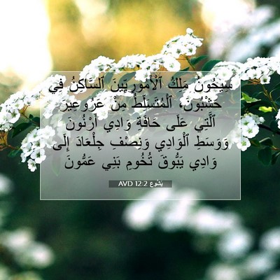 Picture 07 - يَشُوع 12:2 AVD - سِيحُونُ مَلِكُ - Bible Verse Picture