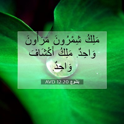 Picture 07 - يَشُوع 12:20 AVD - مَلِكُ شِمْرُونَ - Bible Verse Picture