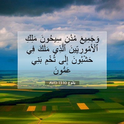Picture 07 - يَشُوع 13:10 AVD - وَجَمِيعَ مُدُنِ سِيحُونَ - Bible Verse Picture