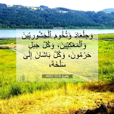 Picture 07 - يَشُوع 13:11 AVD - وَجِلْعَادَ وَتُخُومَ - Bible Verse Picture