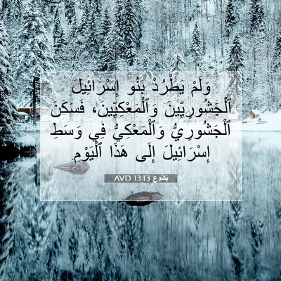 Picture 07 - يَشُوع 13:13 AVD - وَلَمْ يَطْرُدْ بَنُو - Bible Verse Picture