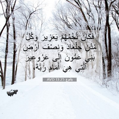 Picture 07 - يَشُوع 13:25 AVD - فَكَانَ تُخْمُهُمْ - Bible Verse Picture
