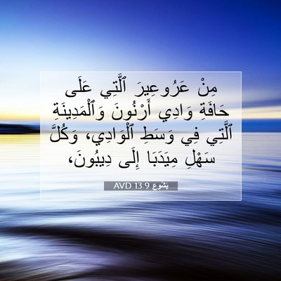 Picture 07 - يَشُوع 13:9 AVD - مِنْ عَرُوعِيرَ ٱلَّتِي - Bible Verse Picture