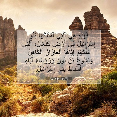 Picture 07 - يَشُوع 14:1 AVD - فَهَذِهِ هِيَ ٱلَّتِي - Bible Verse Picture