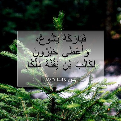 Picture 07 - يَشُوع 14:13 AVD - فَبَارَكَهُ يَشُوعُ، - Bible Verse Picture
