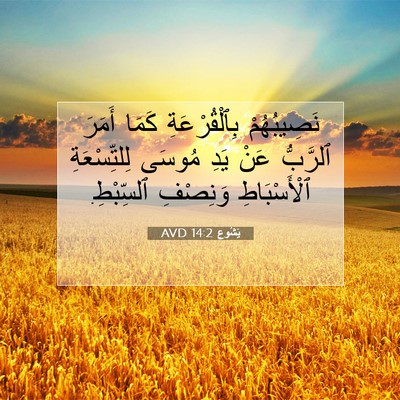 Picture 07 - يَشُوع 14:2 AVD - نَصِيبُهُمْ بِٱلْقُرْعَةِ - Bible Verse Picture