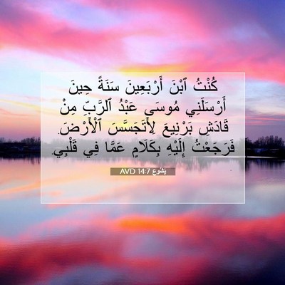 Picture 07 - يَشُوع 14:7 AVD - كُنْتُ ٱبْنَ أَرْبَعِينَ - Bible Verse Picture
