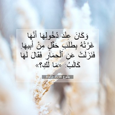 Picture 07 - يَشُوع 15:18 AVD - وَكَانَ عِنْدَ دُخُولِهَا - Bible Verse Picture