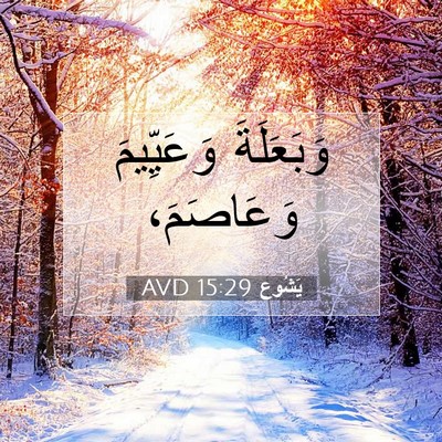 Picture 07 - يَشُوع 15:29 AVD - وَبَعَلَةَ وَعَيِّيمَ - Bible Verse Picture