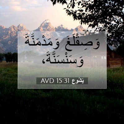 Picture 07 - يَشُوع 15:31 AVD - وَصِقْلَغَ وَمَدْمَنَّةَ - Bible Verse Picture
