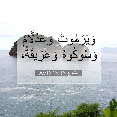 Picture 07 - يَشُوع 15:35 AVD - وَيَرْمُوتُ وَعَدُلَّامُ - Bible Verse Picture