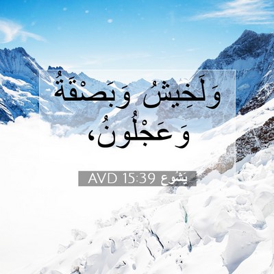 Picture 07 - يَشُوع 15:39 AVD - وَلَخِيشُ وَبَصْقَةُ - Bible Verse Picture