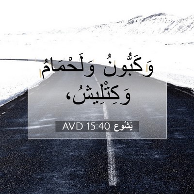 Picture 07 - يَشُوع 15:40 AVD - وَكَبُّونُ وَلَحْمَامُ - Bible Verse Picture