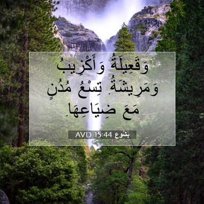 Picture 07 - يَشُوع 15:44 AVD - وَقَعِيلَةُ وَأَكْزِيبُ - Bible Verse Picture