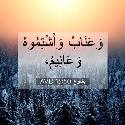 Picture 07 - يَشُوع 15:50 AVD - وَعَنَابُ وَأَشْتِمُوهُ - Bible Verse Picture