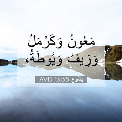 Picture 07 - يَشُوع 15:55 AVD - مَعُونُ وَكَرْمَلُ - Bible Verse Picture
