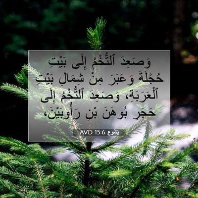 Picture 07 - يَشُوع 15:6 AVD - وَصَعِدَ ٱلتُّخْمُ إِلَى - Bible Verse Picture