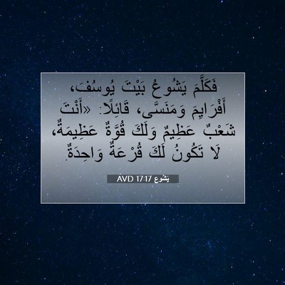 Picture 07 - يَشُوع 17:17 AVD - فَكَلَّمَ يَشُوعُ بَيْتَ - Bible Verse Picture