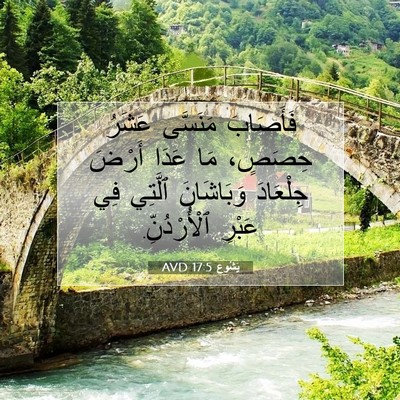 Picture 07 - يَشُوع 17:5 AVD - فَأَصَابَ مَنَسَّى عَشَرُ - Bible Verse Picture